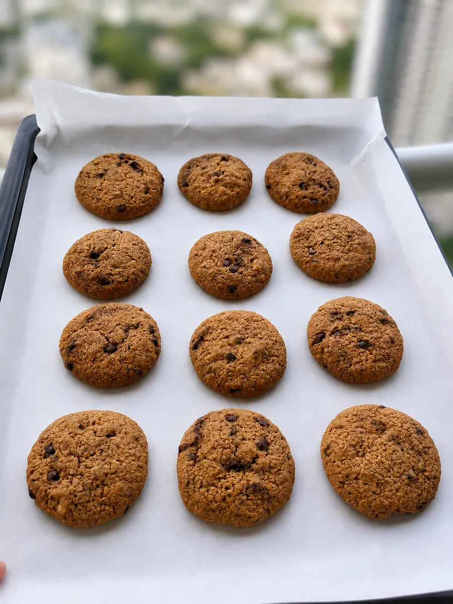 Oats Walnut & Choco Chip Cookies